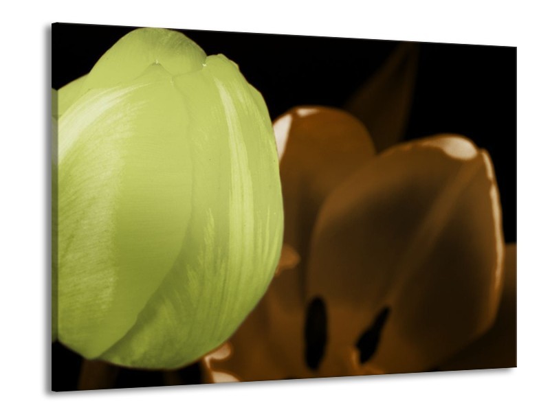 Canvas schilderij Tulp | Groen, Bruin, Zwart | 100x70cm 1Luik