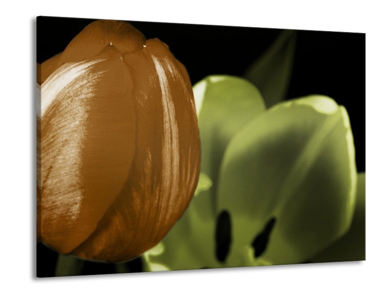 Canvas schilderij Tulp | Groen, Bruin, Zwart | 100x70cm 1Luik