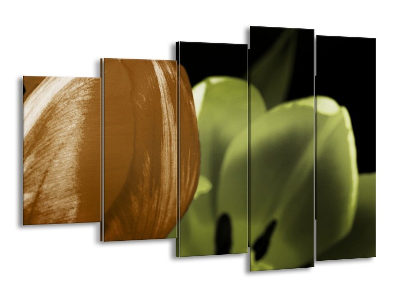 Canvas schilderij Tulp | Groen, Bruin, Zwart | 150x100cm 5Luik