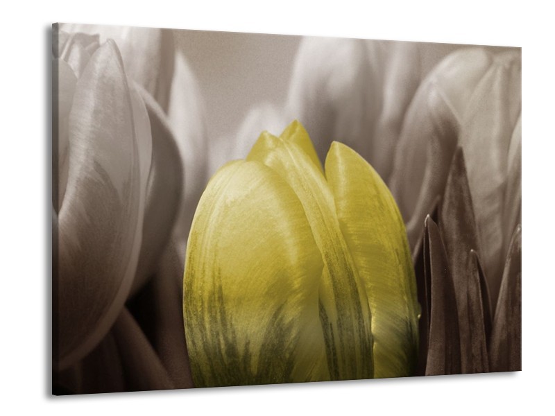 Canvas schilderij Tulp | Geel, Grijs, Zwart | 100x70cm 1Luik