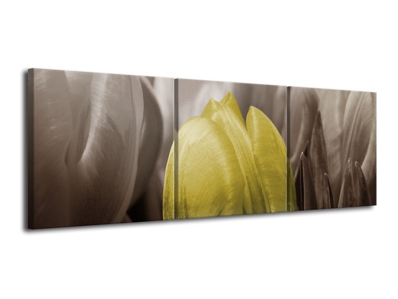 Canvas schilderij Tulp | Geel, Grijs, Zwart | 120x40cm 3Luik