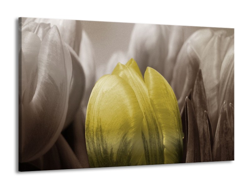 Canvas schilderij Tulp | Geel, Grijs, Zwart | 140x90cm 1Luik