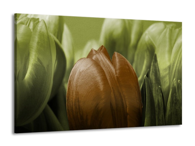 Canvas schilderij Tulp | Groen, Bruin, Zwart | 140x90cm 1Luik
