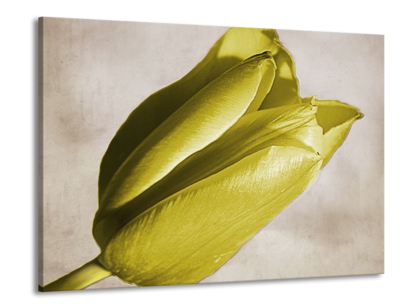 Canvas schilderij Tulp | Geel, Grijs, Zwart | 100x70cm 1Luik