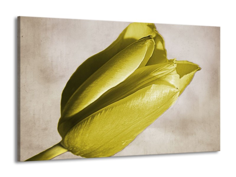 Canvas schilderij Tulp | Geel, Grijs, Zwart | 140x90cm 1Luik