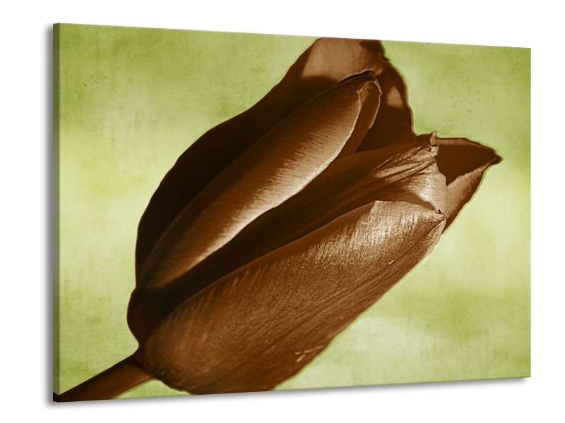 Canvas schilderij Tulp | Bruin, Grijs, Zwart | 100x70cm 1Luik