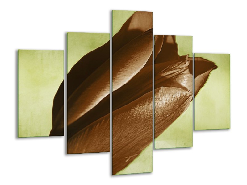 Canvas schilderij Tulp | Bruin, Grijs, Zwart | 100x70cm 5Luik