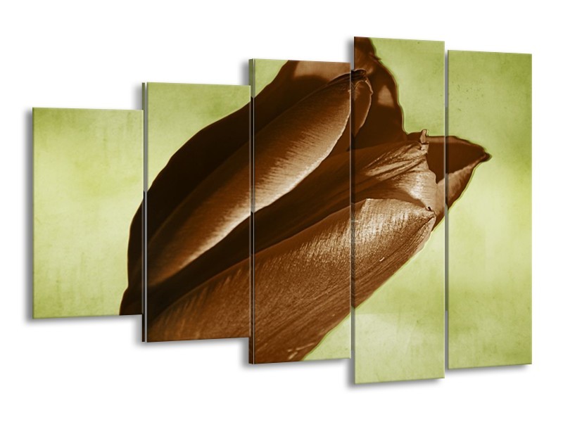 Canvas schilderij Tulp | Bruin, Grijs, Zwart | 150x100cm 5Luik