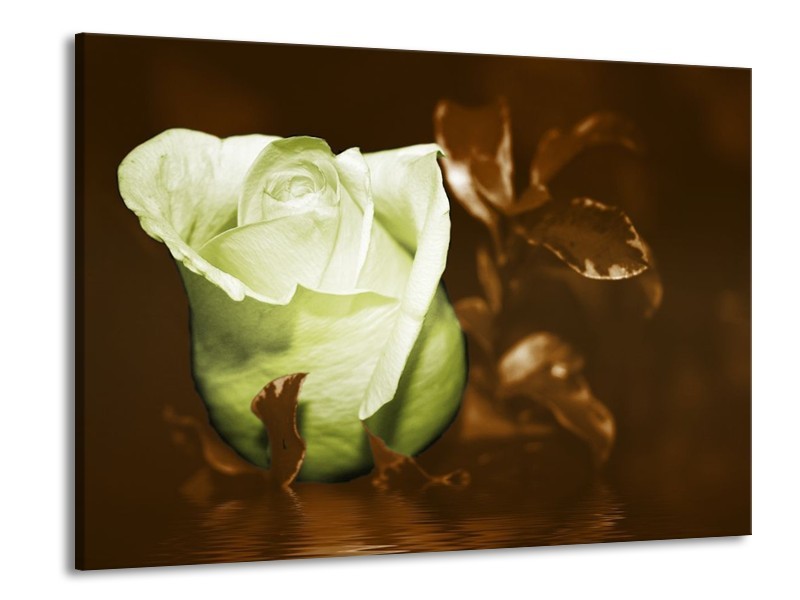 Canvas schilderij Bloem | Wit, Bruin, Groen | 100x70cm 1Luik