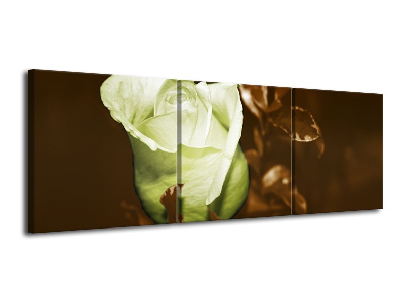 Canvas schilderij Bloem | Wit, Bruin, Groen | 120x40cm 3Luik