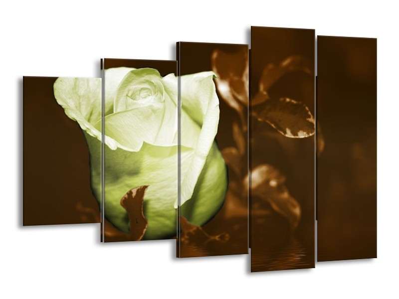 Canvas schilderij Bloem | Wit, Bruin, Groen | 150x100cm 5Luik