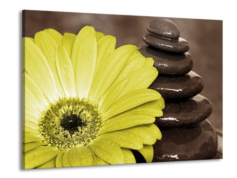 Canvas schilderij Bloem | Wit, Bruin, Groen | 100x70cm 1Luik