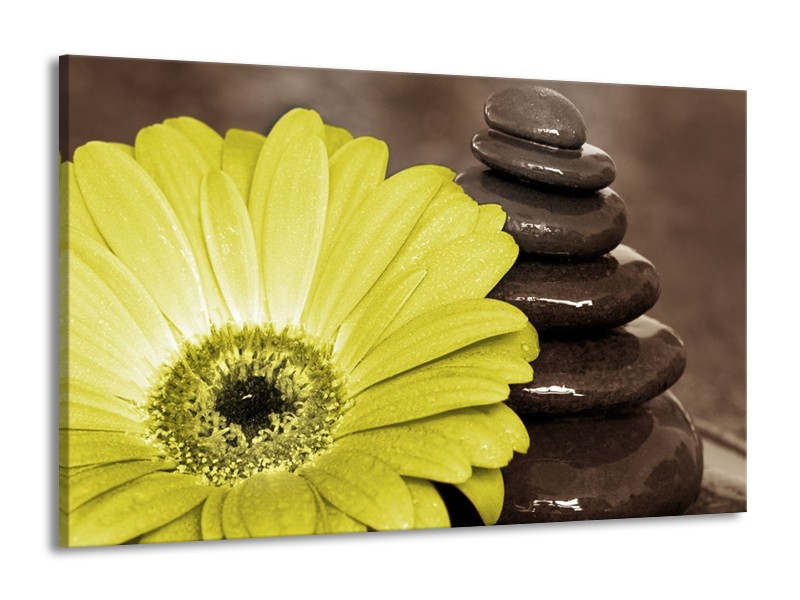 Canvas schilderij Bloem | Wit, Bruin, Groen | 140x90cm 1Luik