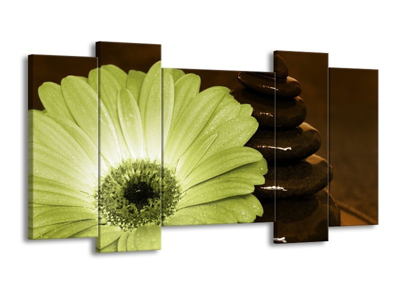 Canvas schilderij Bloem | Wit, Bruin, Groen | 120x65 5Luik
