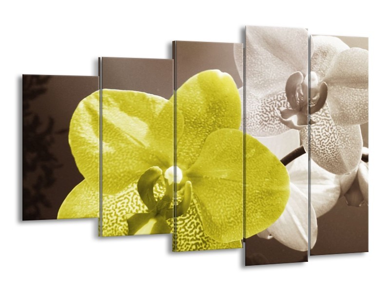 Canvas schilderij Orchidee | Wit, Groen, Grijs | 150x100cm 5Luik