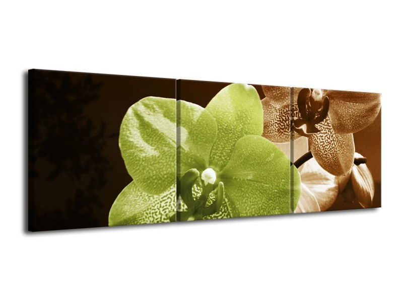 Canvas schilderij Orchidee | Groen, Bruin, Wit | 120x40cm 3Luik