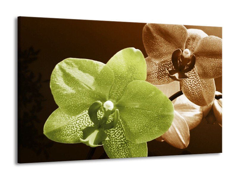 Canvas schilderij Orchidee | Groen, Bruin, Wit | 140x90cm 1Luik
