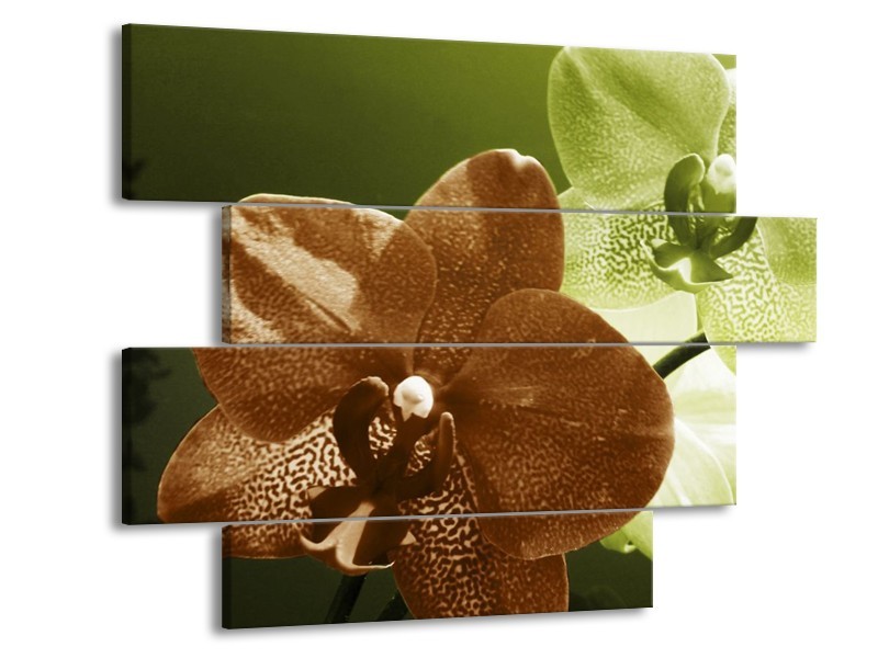 Canvas schilderij Orchidee | Groen, Bruin, Wit | 115x85cm 4Luik
