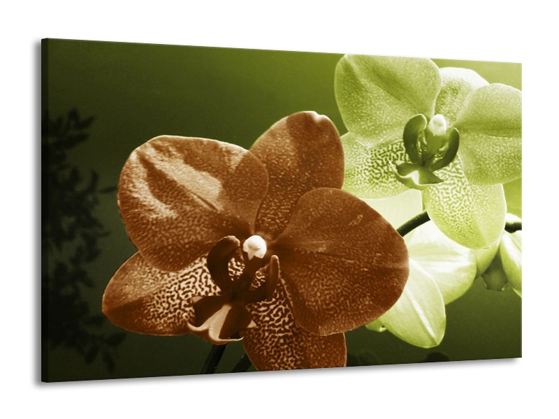 Canvas schilderij Orchidee | Groen, Bruin, Wit | 140x90cm 1Luik