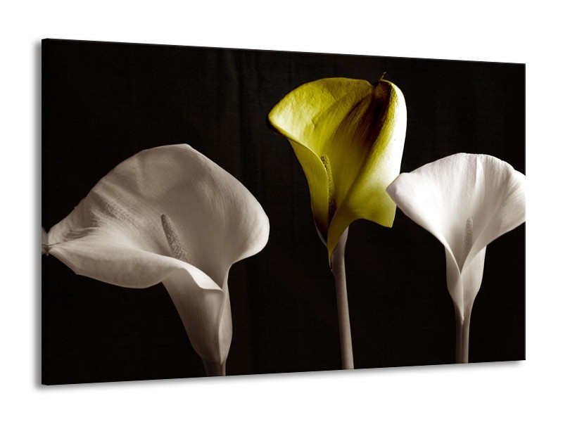 Canvas schilderij Bloem | Groen, Wit, Zwart | 140x90cm 1Luik