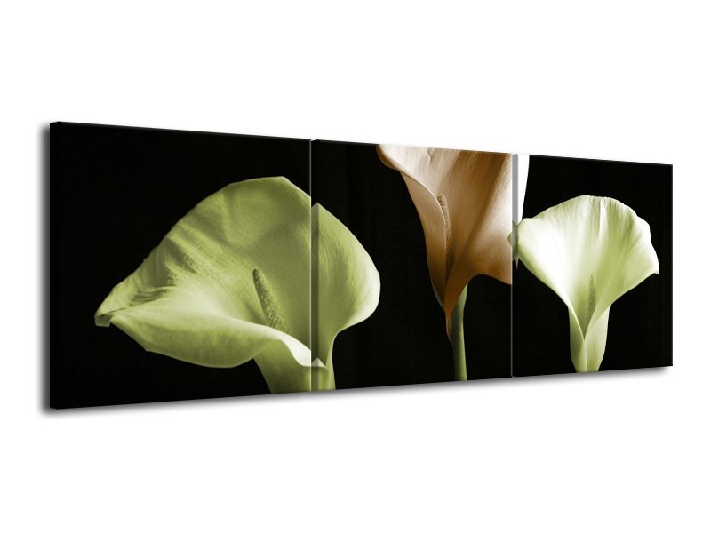 Canvas schilderij Bloem | Groen, Bruin, Zwart | 120x40cm 3Luik