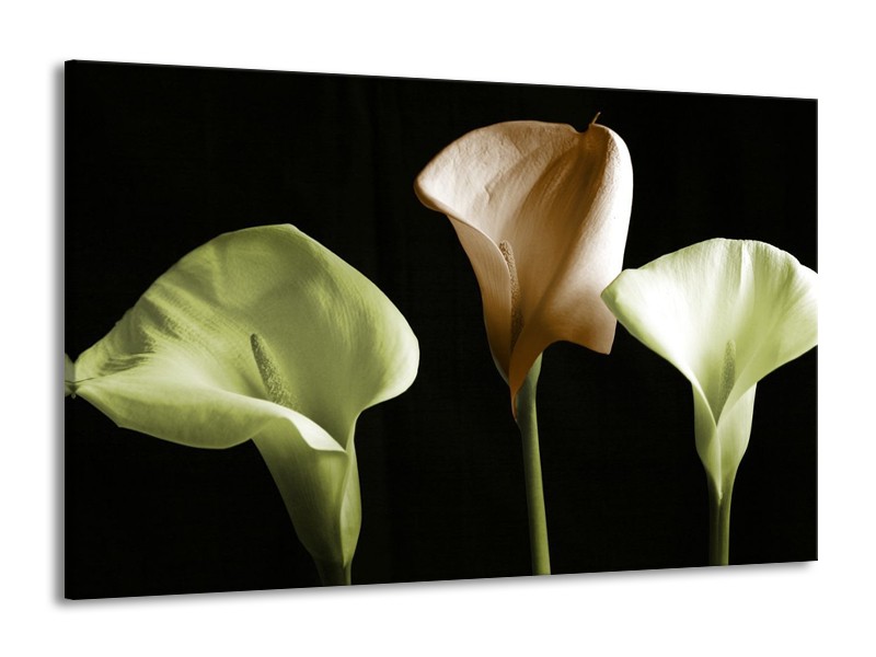 Canvas schilderij Bloem | Groen, Bruin, Zwart | 140x90cm 1Luik