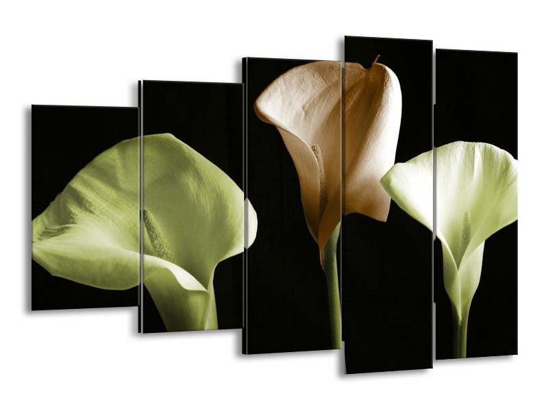 Canvas schilderij Bloem | Groen, Bruin, Zwart | 150x100cm 5Luik