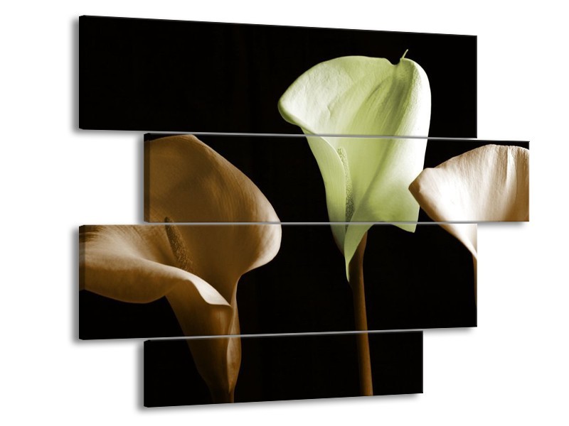 Canvas schilderij Bloem | Groen, Bruin, Zwart | 115x85cm 4Luik