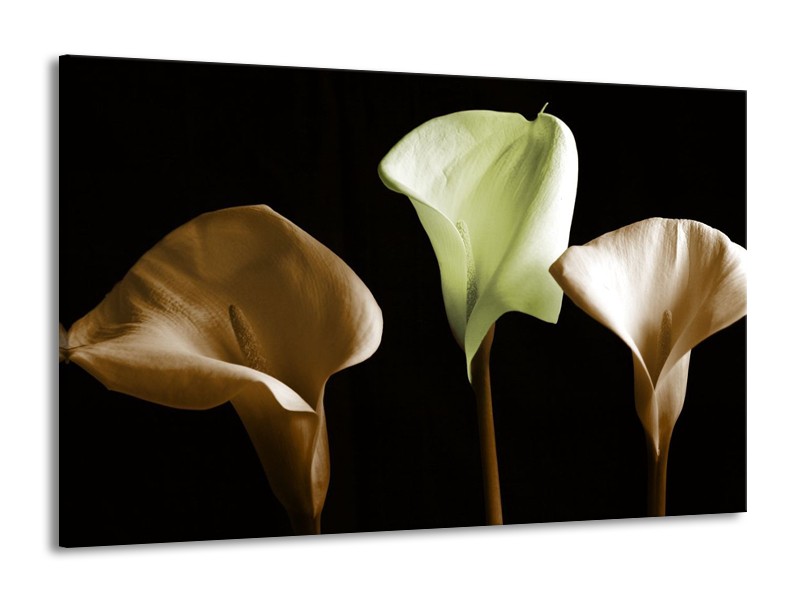 Canvas schilderij Bloem | Groen, Bruin, Zwart | 140x90cm 1Luik