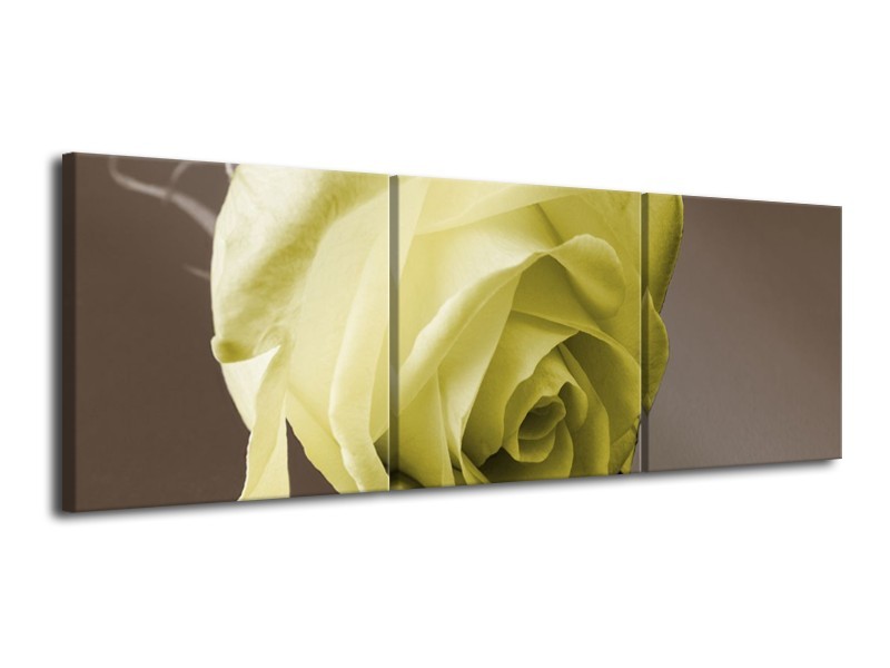 Canvas schilderij Roos | Groen, Wit, Grijs | 120x40cm 3Luik