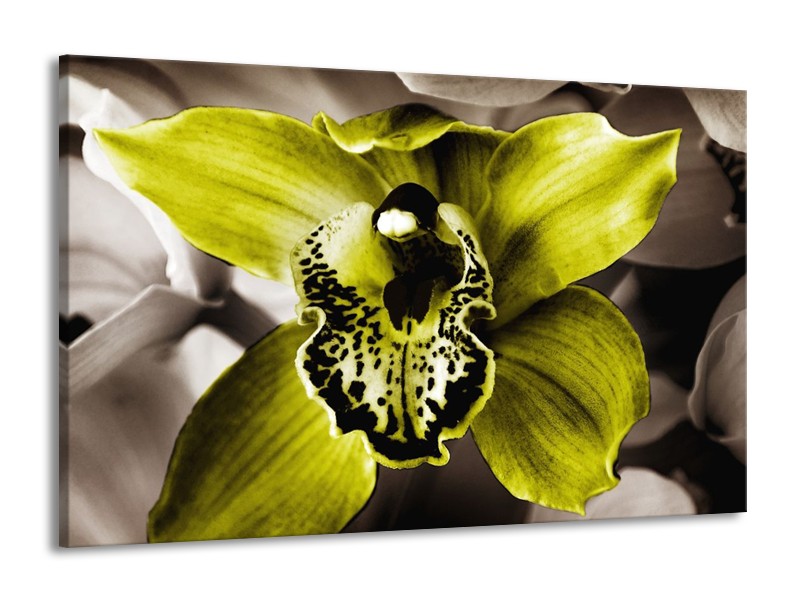 Canvas schilderij Iris | Groen, Wit, Grijs | 140x90cm 1Luik