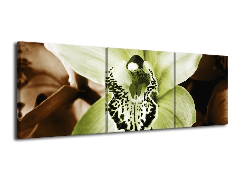 Canvas schilderij Iris | Groen, Bruin, Wit | 120x40cm 3Luik