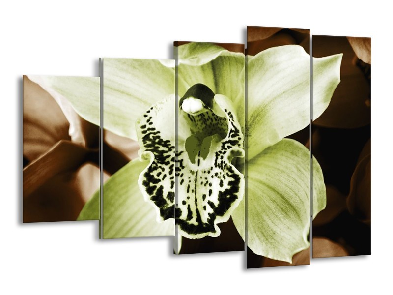 Canvas schilderij Iris | Groen, Bruin, Wit | 150x100cm 5Luik