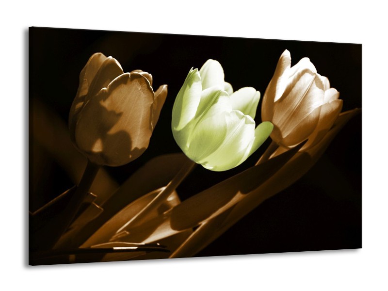 Canvas schilderij Tulp | Bruin, Groen, Zwart | 140x90cm 1Luik