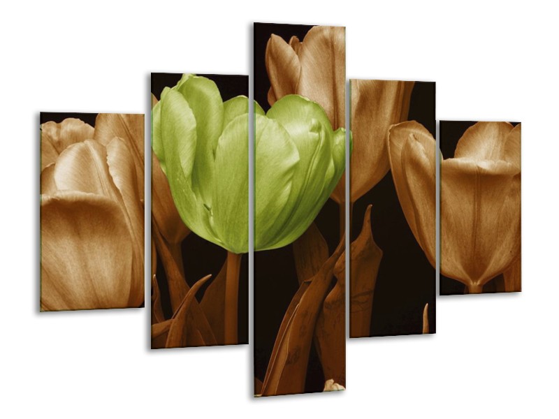 Canvas schilderij Tulp | Bruin, Groen, Zwart | 100x70cm 5Luik