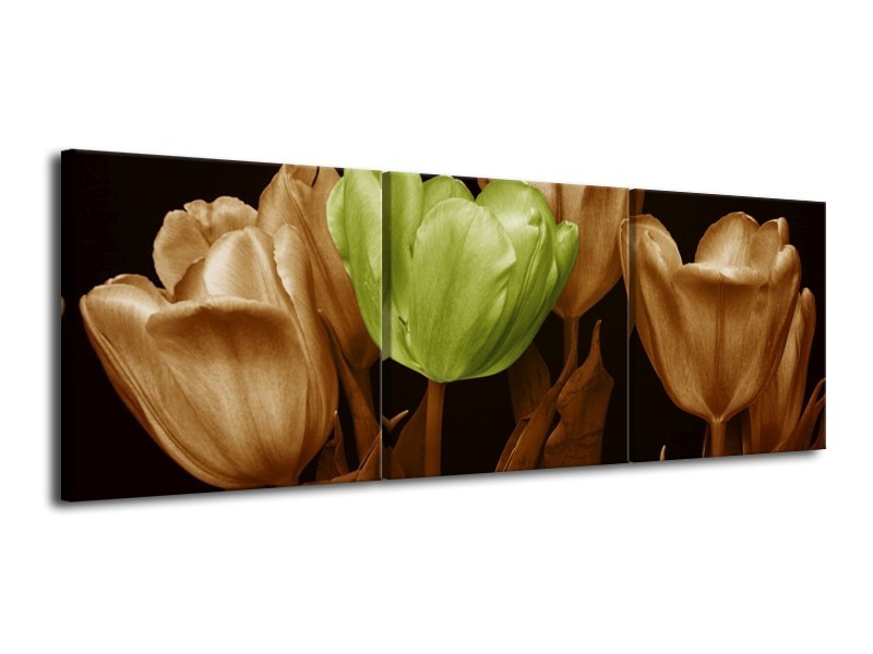 Canvas schilderij Tulp | Bruin, Groen, Zwart | 120x40cm 3Luik