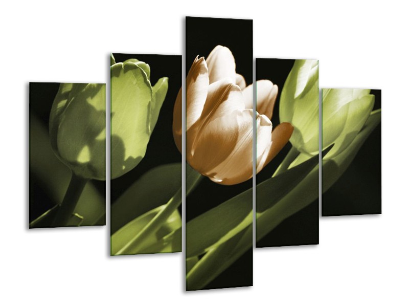 Canvas schilderij Tulp | Bruin, Groen, Zwart | 100x70cm 5Luik