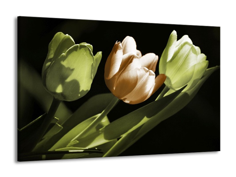 Canvas schilderij Tulp | Bruin, Groen, Zwart | 140x90cm 1Luik
