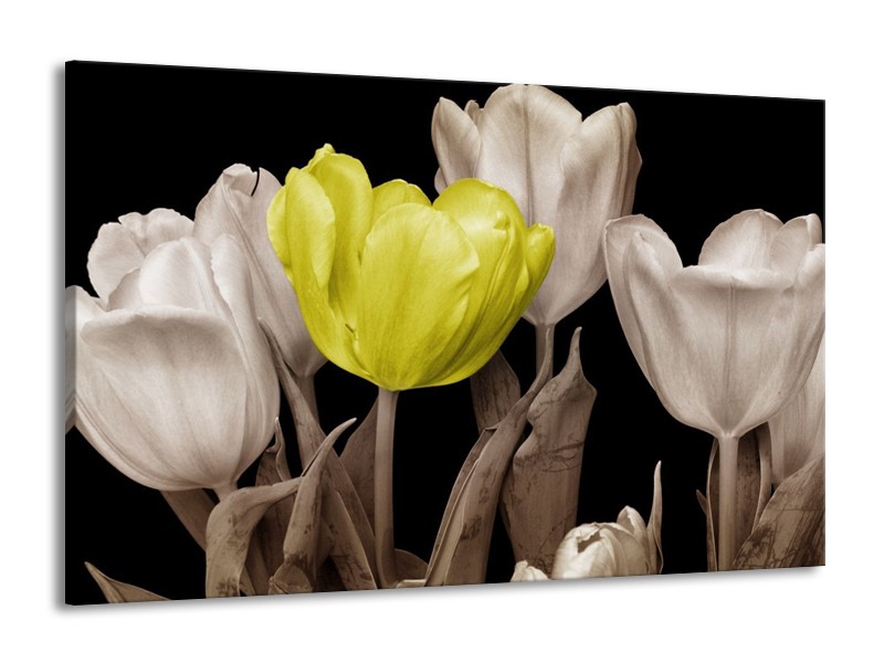 Canvas schilderij Tulp | Groen, Grijs, Zwart | 140x90cm 1Luik