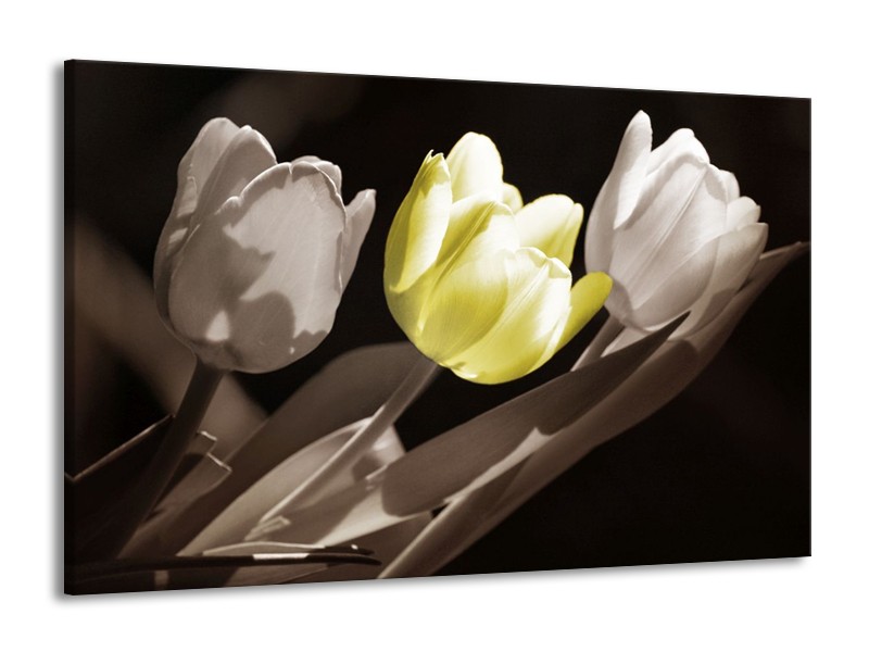 Canvas schilderij Tulp | Groen, Grijs, Zwart | 140x90cm 1Luik