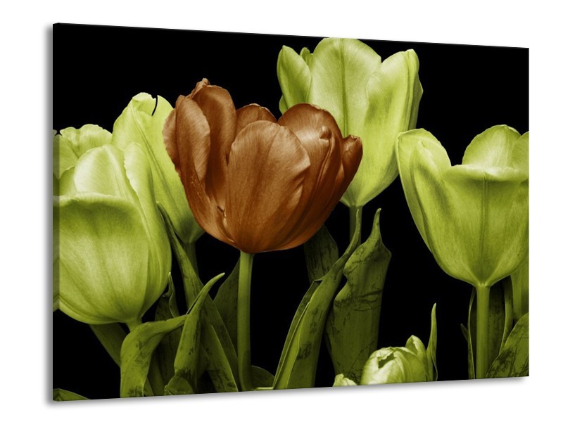 Canvas schilderij Tulp | Groen, Bruin, Zwart | 100x70cm 1Luik