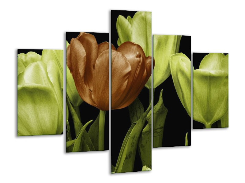 Canvas schilderij Tulp | Groen, Bruin, Zwart | 100x70cm 5Luik