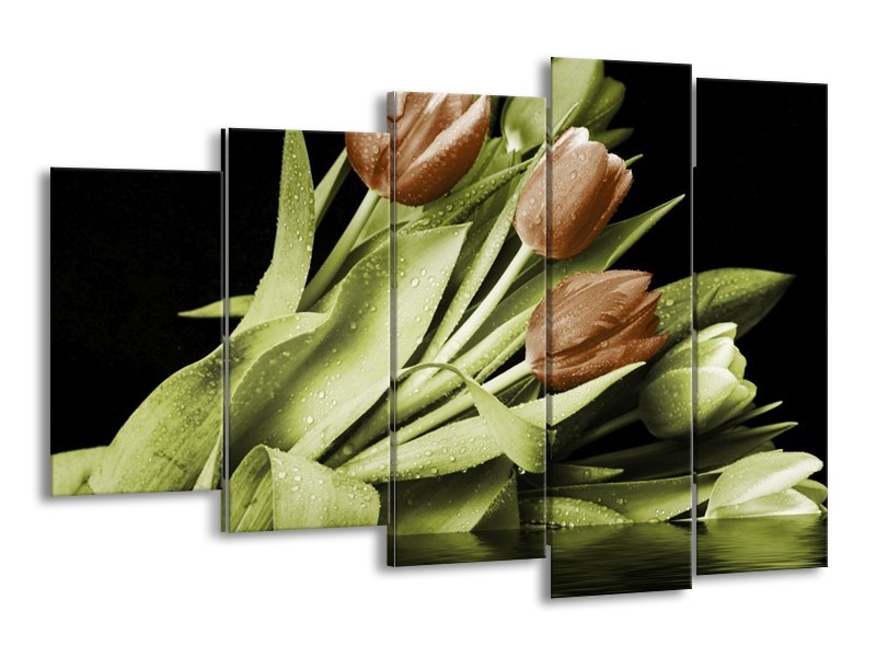Canvas schilderij Tulp | Groen, Bruin, Zwart | 150x100cm 5Luik