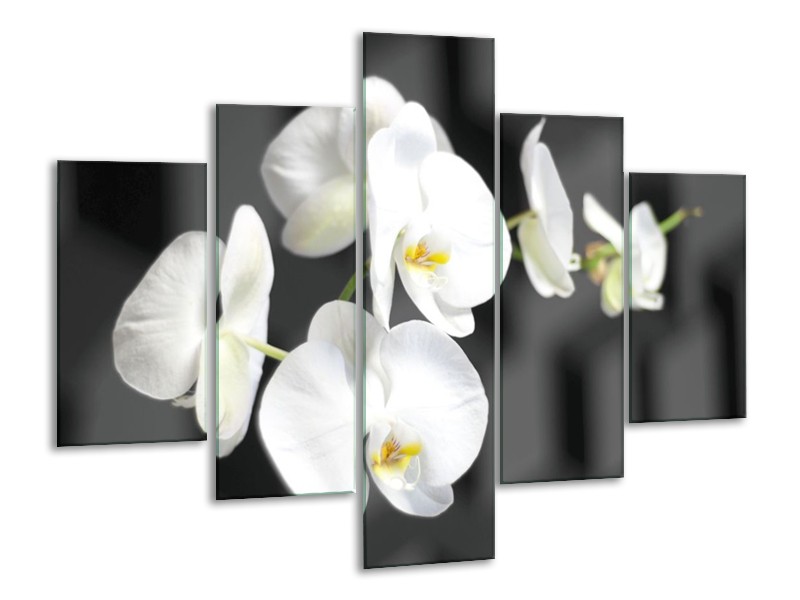Canvas schilderij Orchidee | Zwart, Wit, Grijs | 100x70cm 5Luik