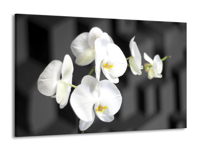 Canvas schilderij Orchidee | Zwart, Wit, Grijs | 140x90cm 1Luik