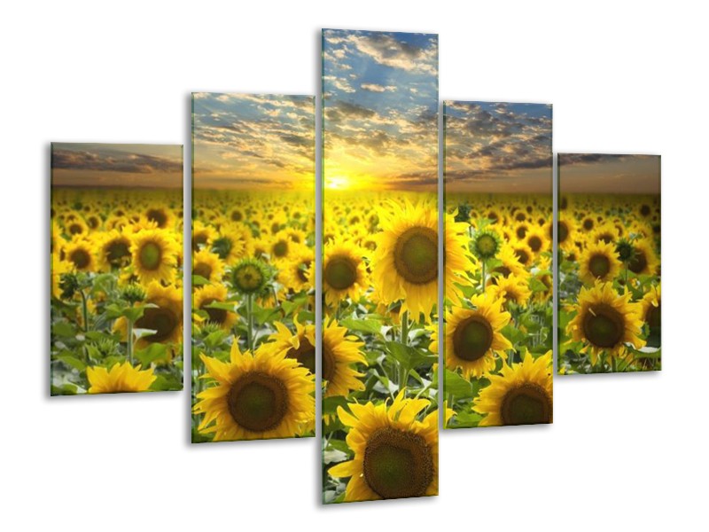 Canvas schilderij Zonnebloem | Geel, Groen, Bruin | 100x70cm 5Luik