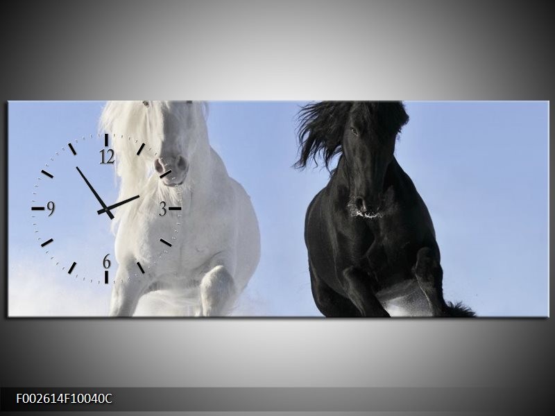 Klok schilderij Paarden | Wit, Zwart, Blauw | 100x40cm 1Luik