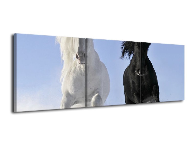 Canvas schilderij Paarden | Wit, Zwart, Blauw | 120x40cm 3Luik