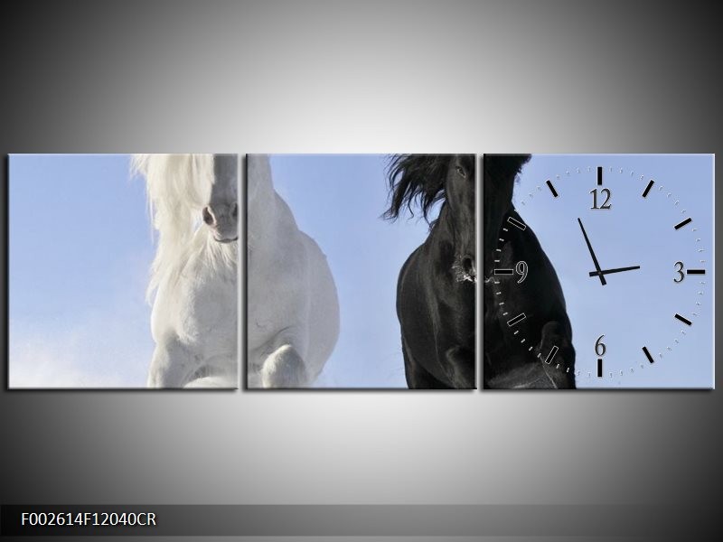 Klok schilderij Paarden | Wit, Zwart, Blauw | 120x40cm 3Luik
