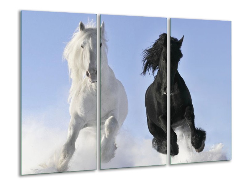Canvas schilderij Paarden | Wit, Zwart, Blauw | 120x80cm 3Luik